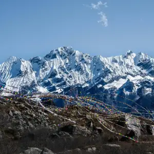 supertreks (4)